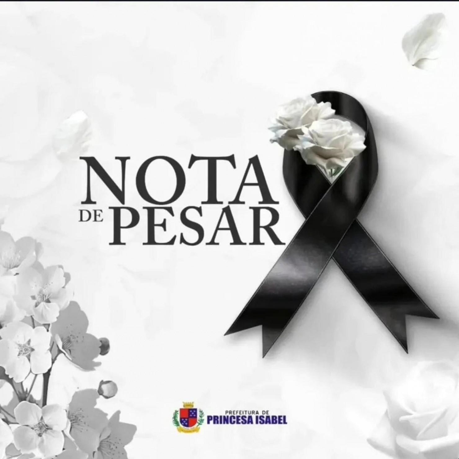 NOTA DE PESAR