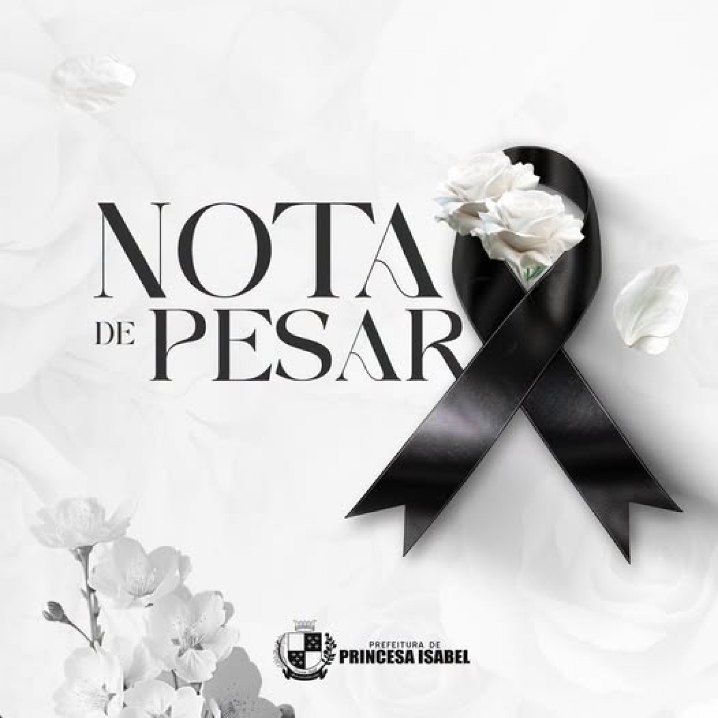 NOTA DE PESAR
